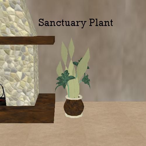  photo Sanctuary Plant.jpg