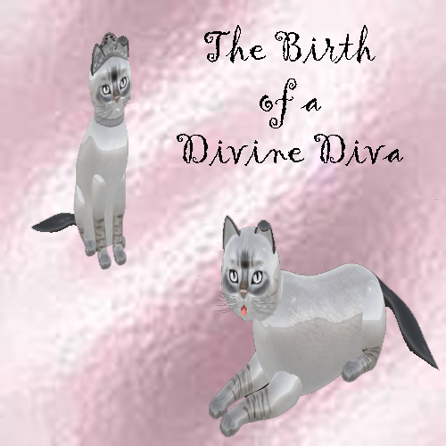 [Image: DivineDiva.png]