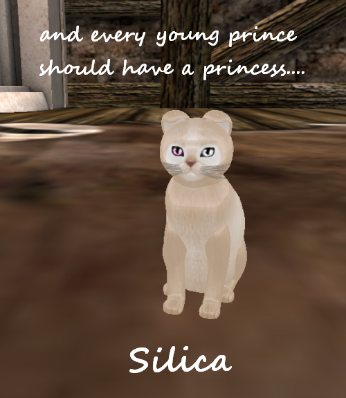 [Image: Silica_001.png]