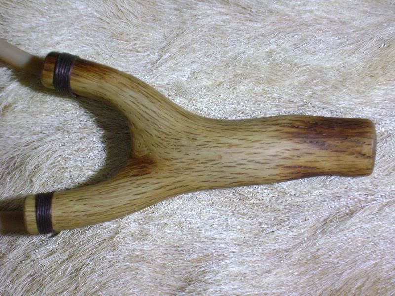 Natural Fork Encino Slingshots Forum