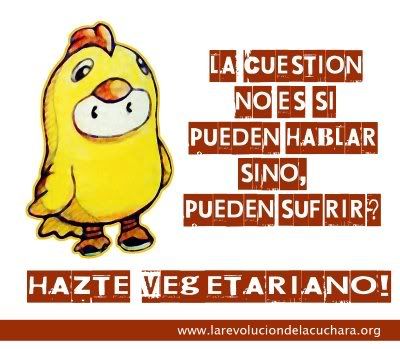 VEG.... Pictures, Images and Photos