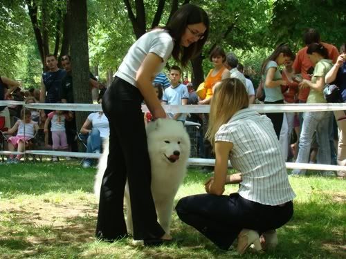 Качена снимка
