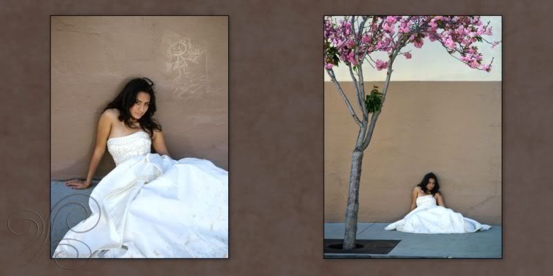 trash the quince dress images -watsonville photographer