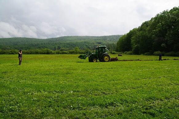 field.jpg