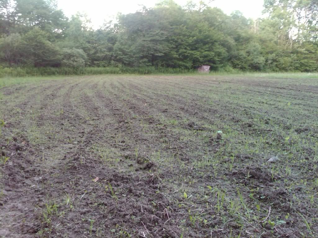 food_plot4.jpg