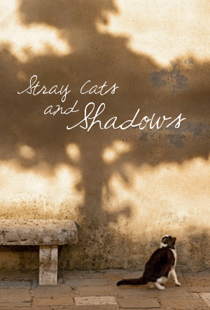 Stray Cats & Shadows