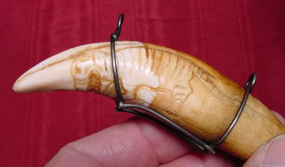 Huyền thoại về loài hổ. - 1