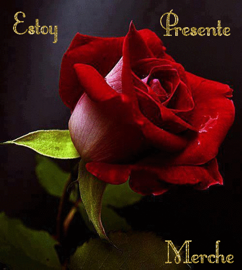  photo 13011308204930730.gif