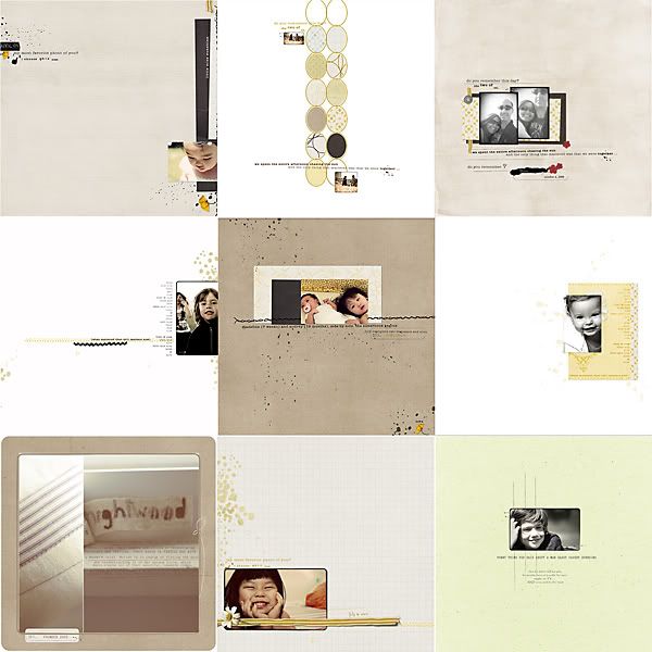 2-chasingthesun2.jpg