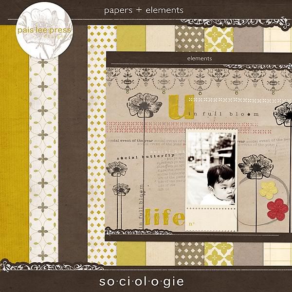 paislee-sociologie-prv600.jpg