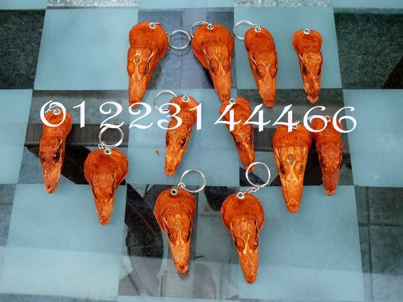 Dây nịt da cá sấu giá cực rẻ tại Sài Gòn