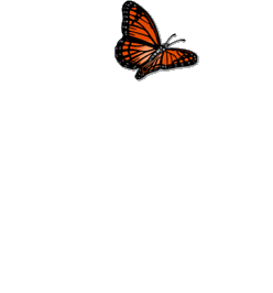 orange_circle_butterflies.gif orange_circle butterflies image by Amandalou1