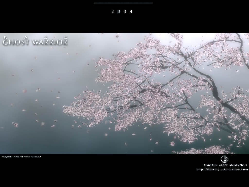 Cherry Blossom wallpaper Cherry Blossom wallpaper
