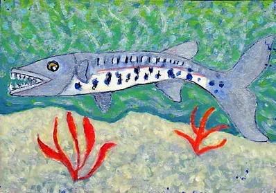 Barracuda