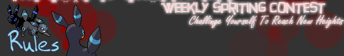 WSCbanner3.png