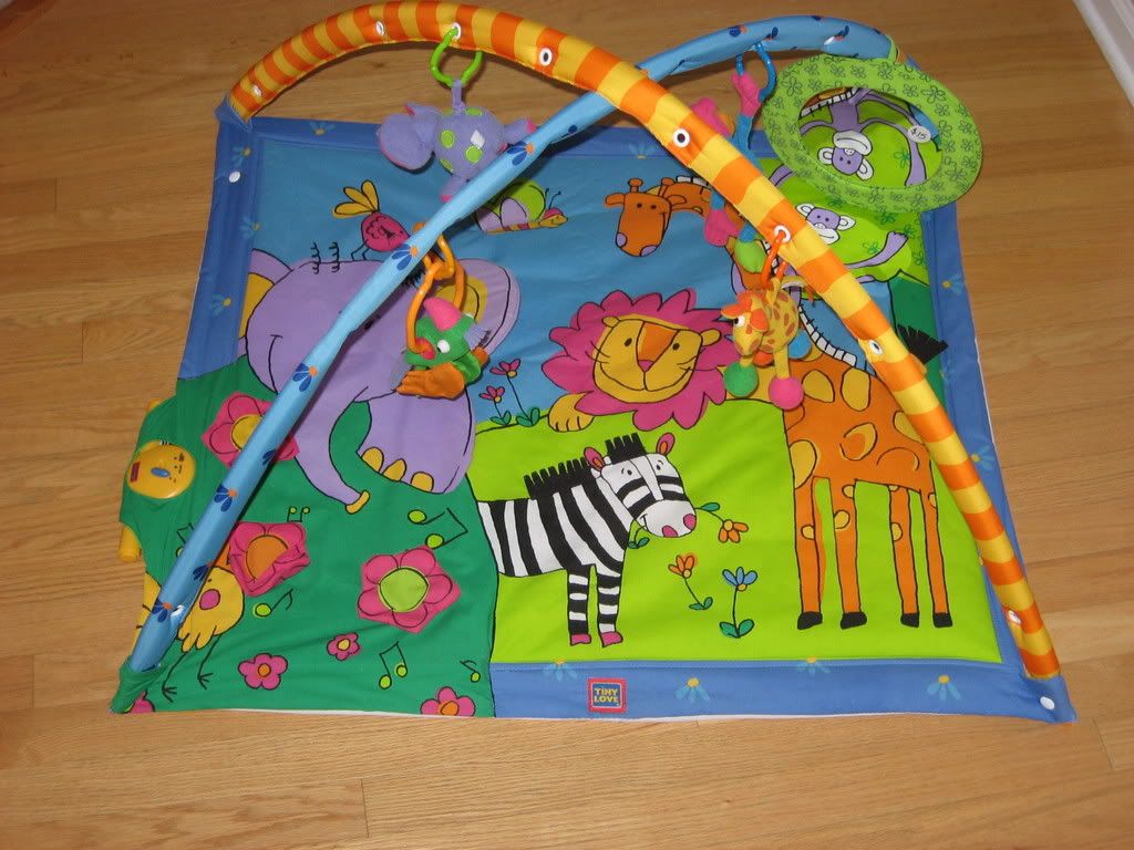 love everly playmat