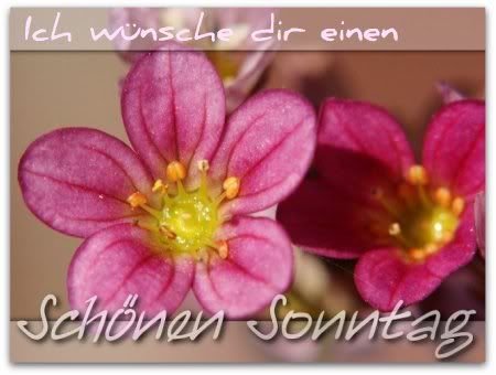 sonntag Pictures, Images and Photos