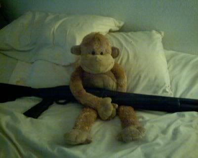 pictures of monkeys with guns. monkeys and guns Image