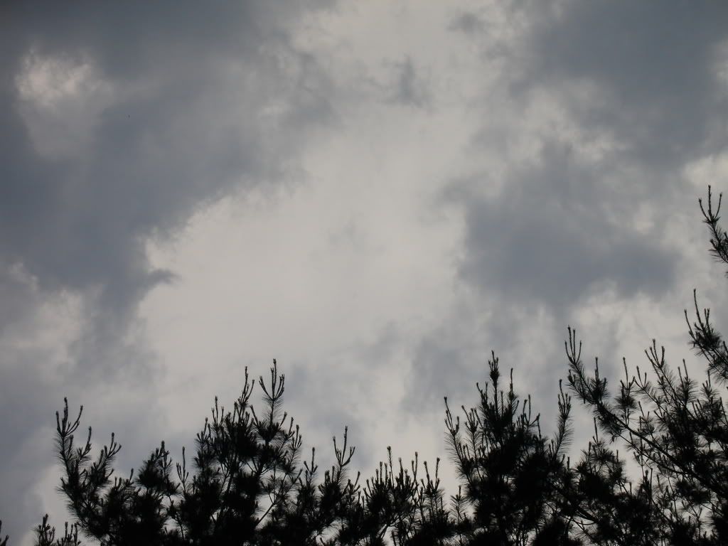 storm clouds gathering Pictures, Images and Photos