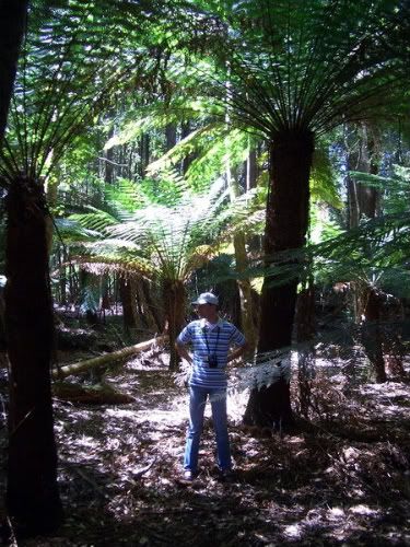 Tasmania