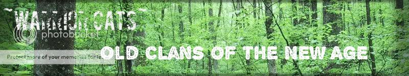 ~Warrior Cats~ Old Clans of the New Age banner