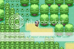 Pokémon: Naturo Verde