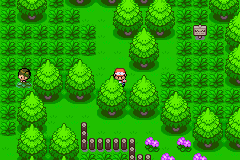 [PokeCommunity.com] Pokemon Earth