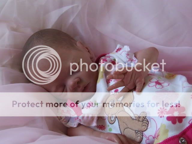 Stunning Reborn Baby Girl Daisy by Lesley Summers Little Rascals