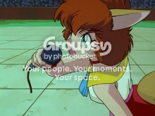 User Image