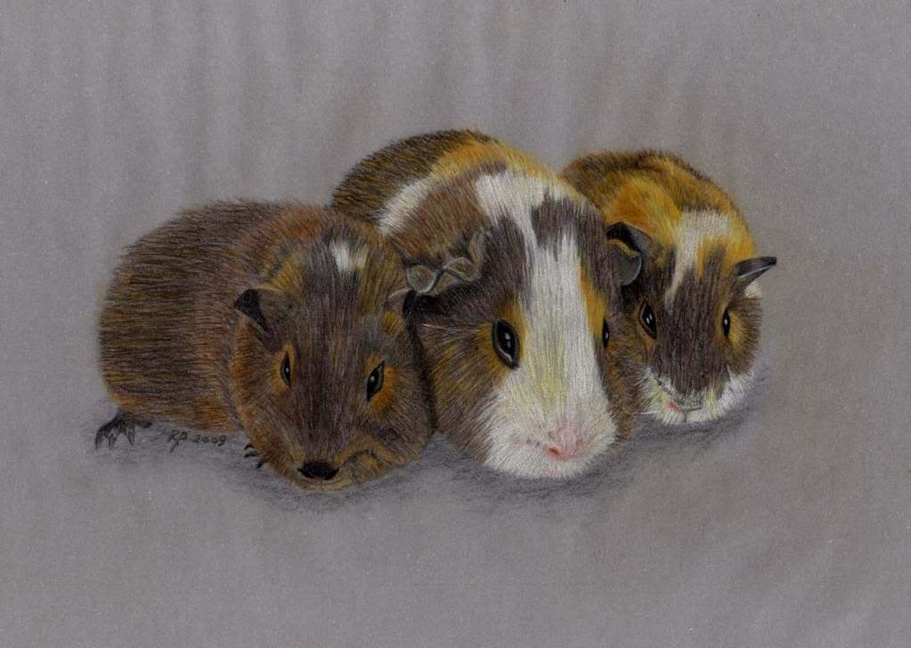 Trio3.jpg