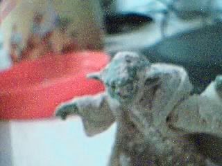Picture7.jpg