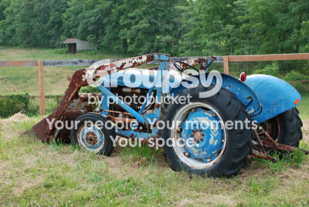 DSC_0001c.jpg