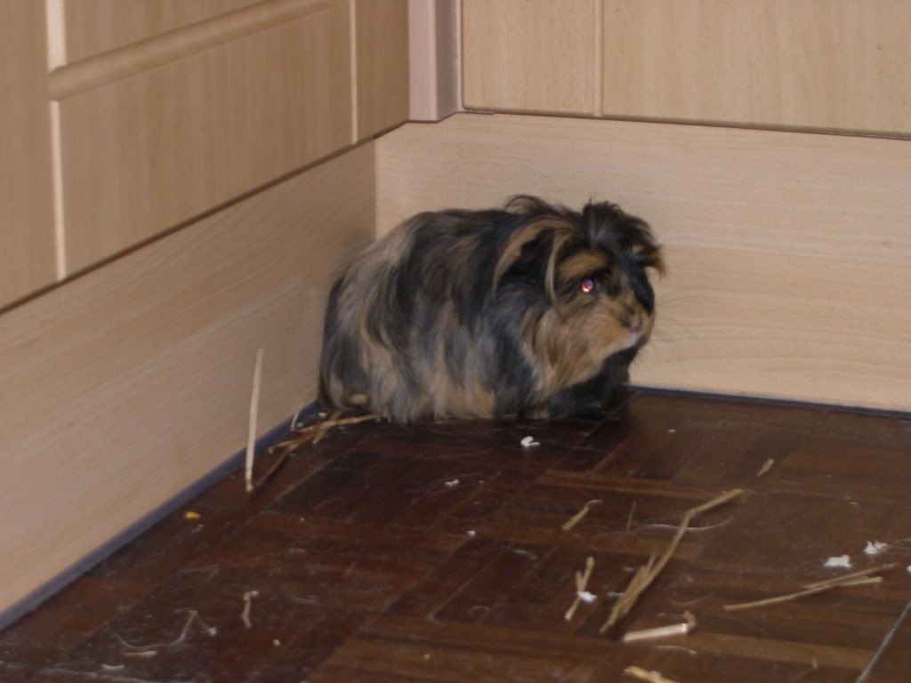 Img0196.jpg