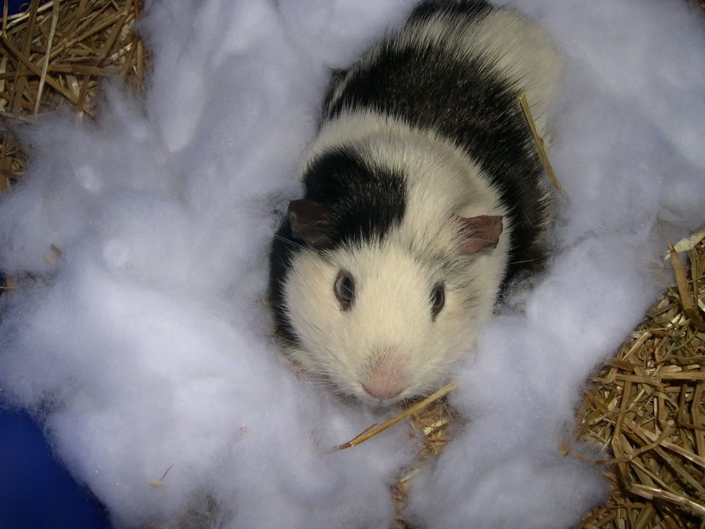 Img0205.jpg