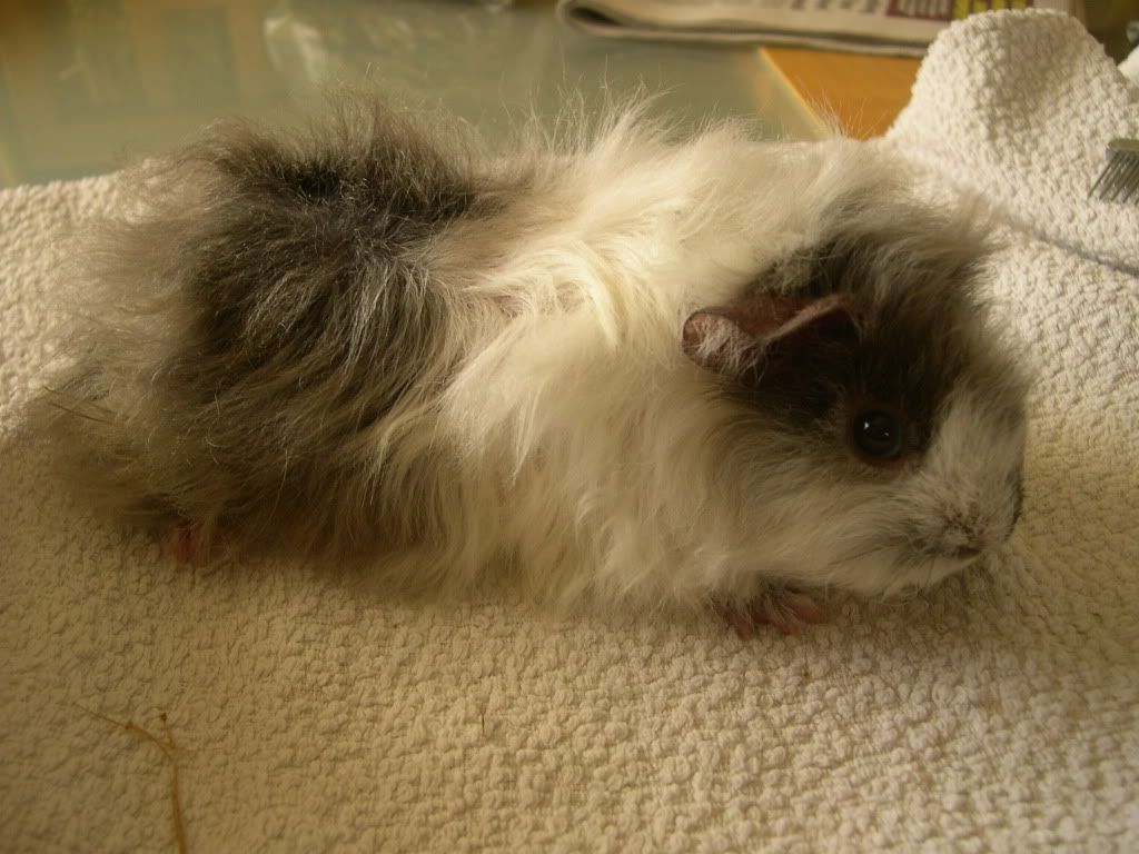 Img0493.jpg