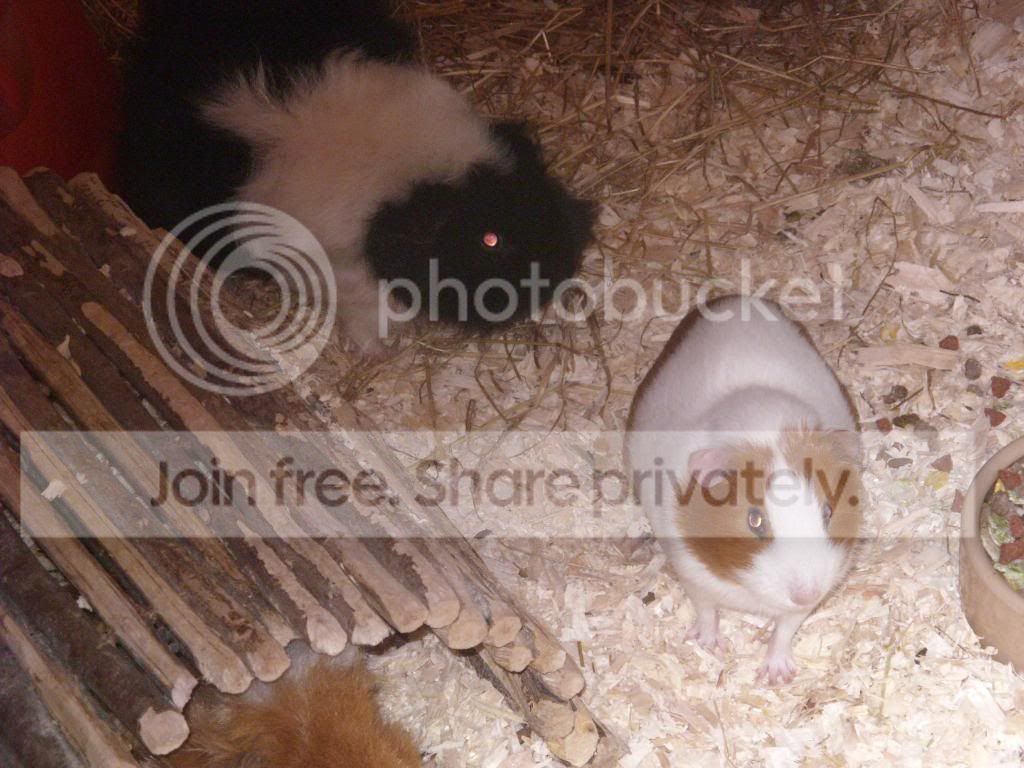 Picture061.jpg