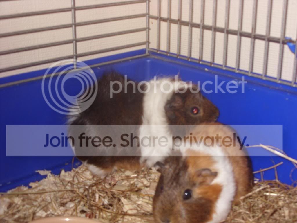 Picture066.jpg