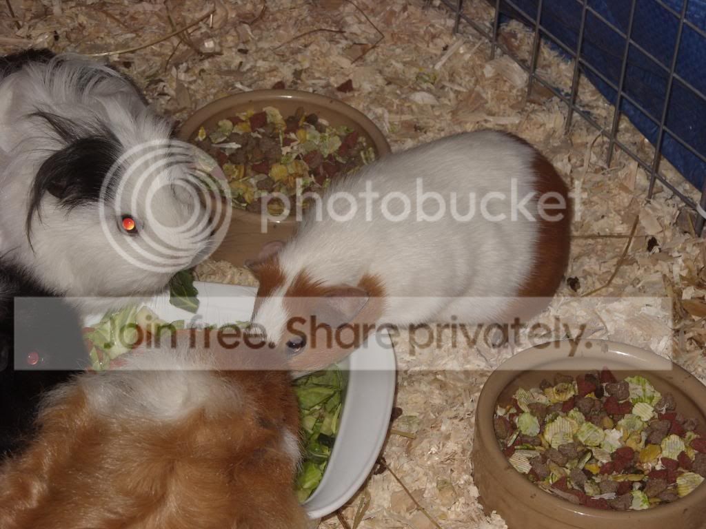 Picture070.jpg