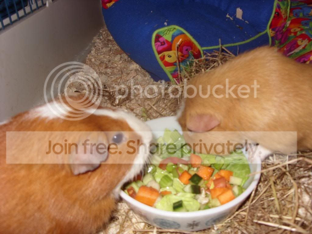 Picture071.jpg