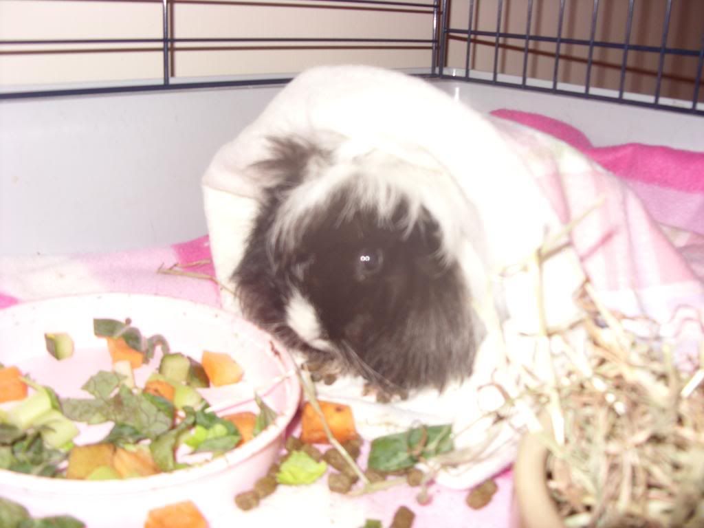 Picture084.jpg