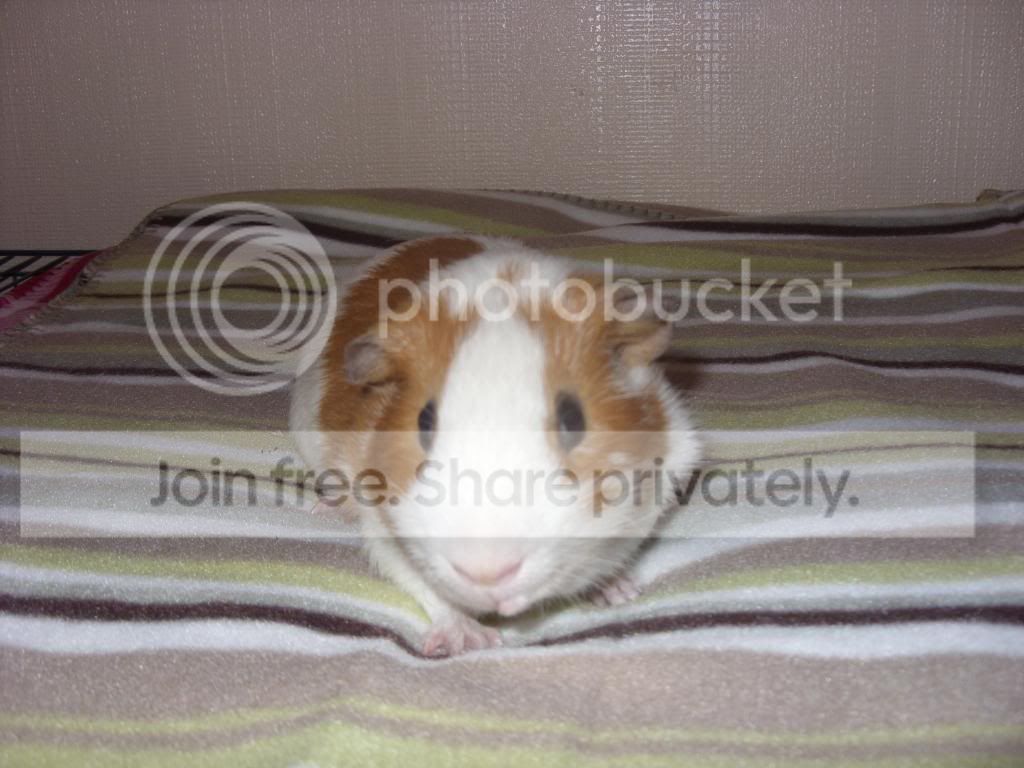 Picture090.jpg