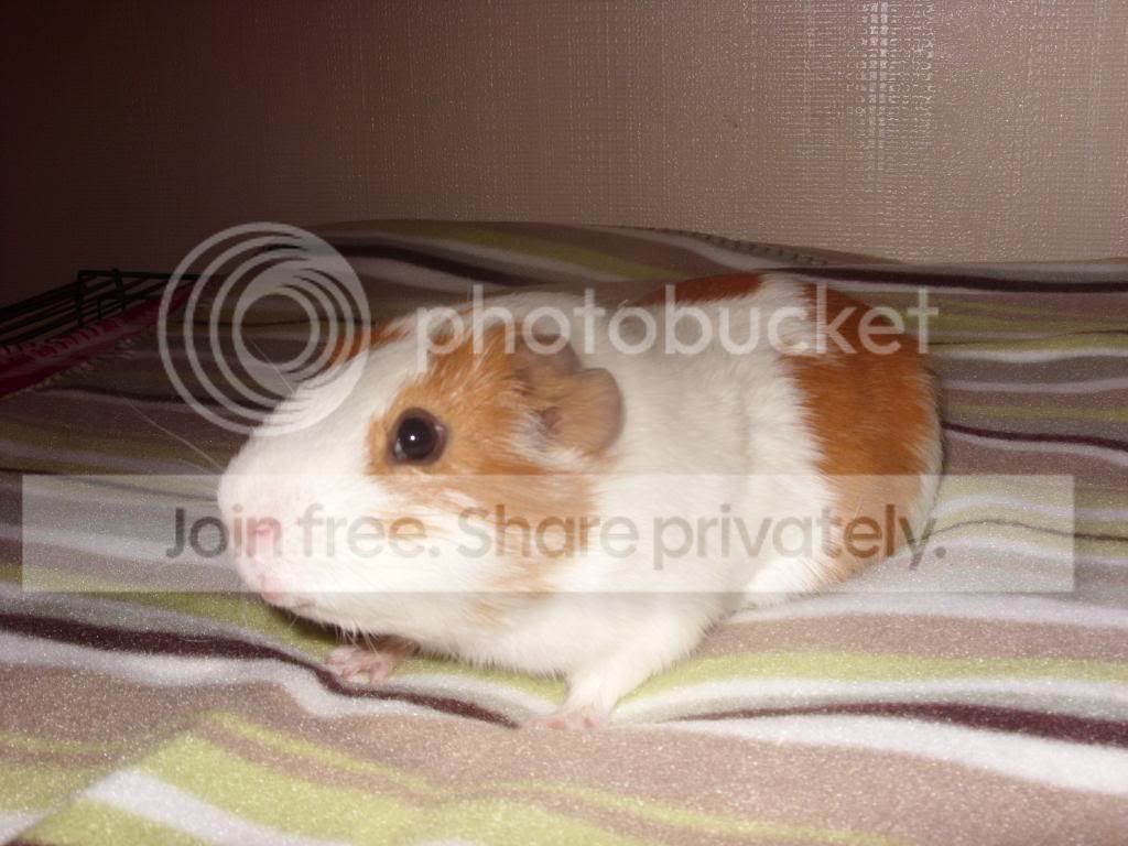 Picture091.jpg