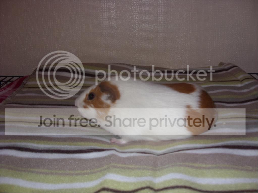 Picture093.jpg
