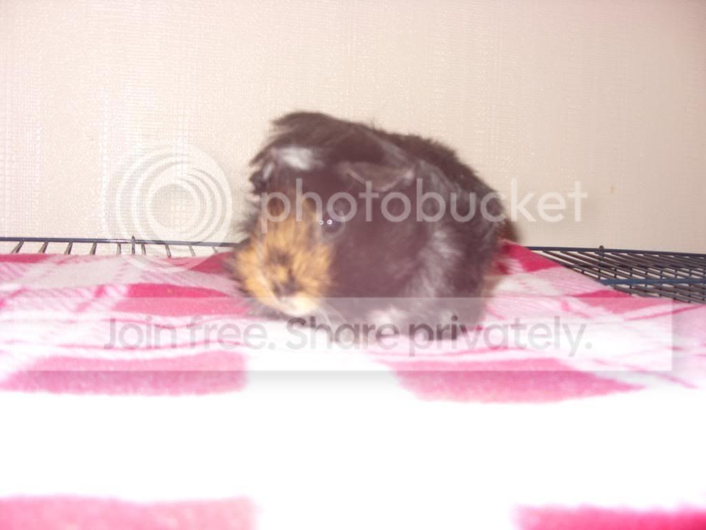 Picture096.jpg