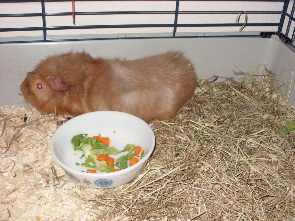 Picture132.jpg