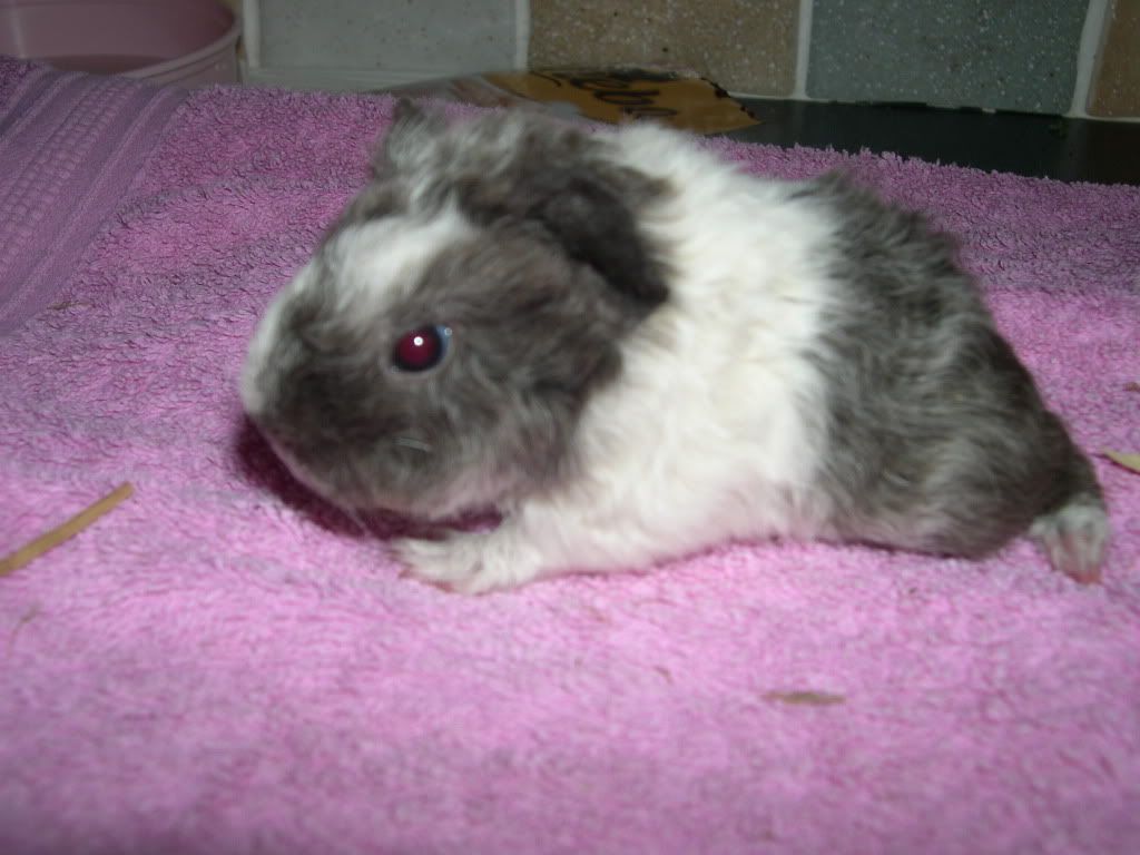 Img0279.jpg