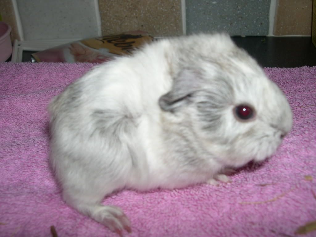 Img0280.jpg
