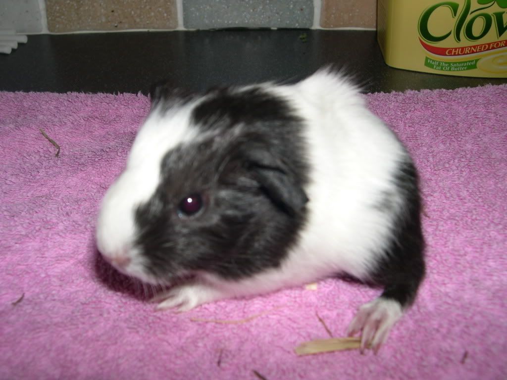 Img0282.jpg