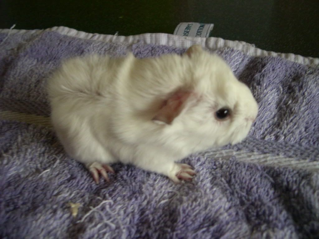 Img0346.jpg