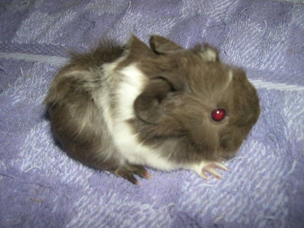 Img0348.jpg